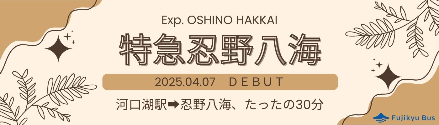 特急忍野八海